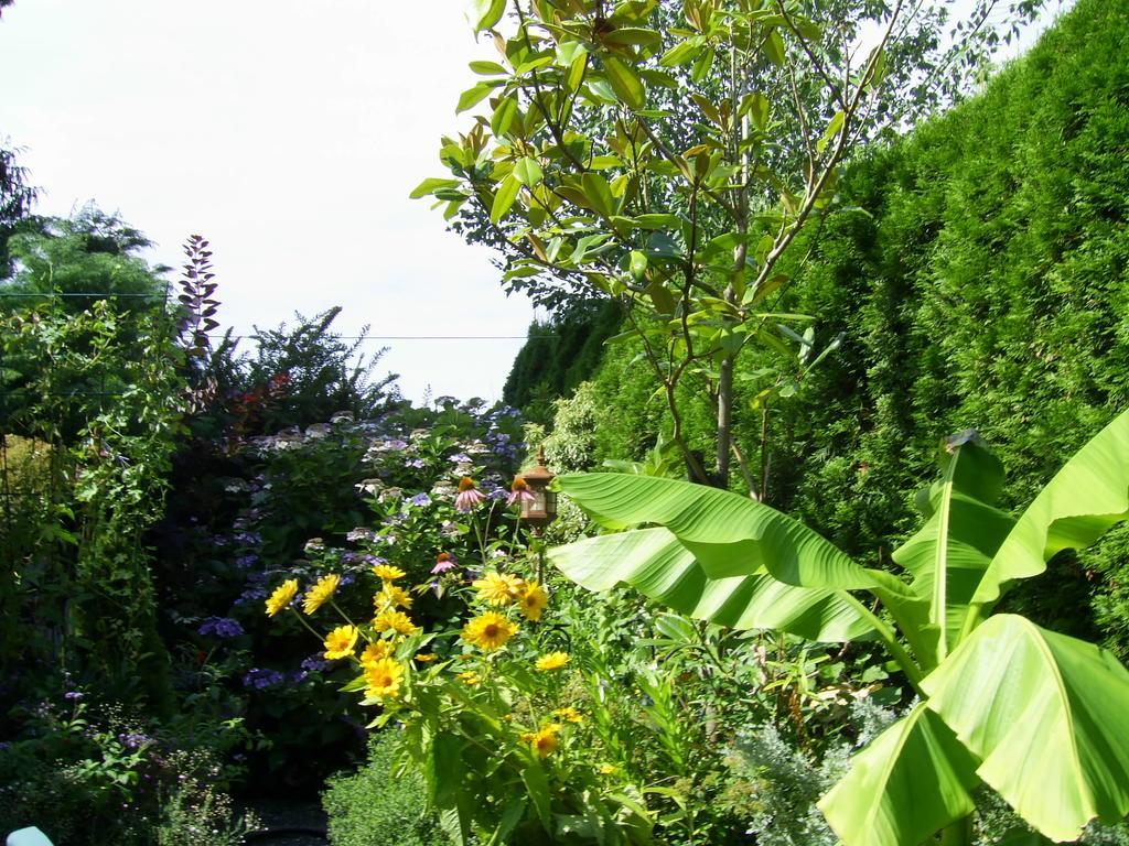Garden House Hotell Courtenay Exteriör bild